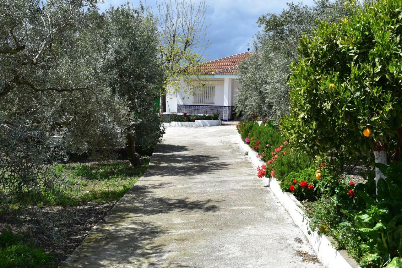Casa Rural Alejo Malaga Ngoại thất bức ảnh